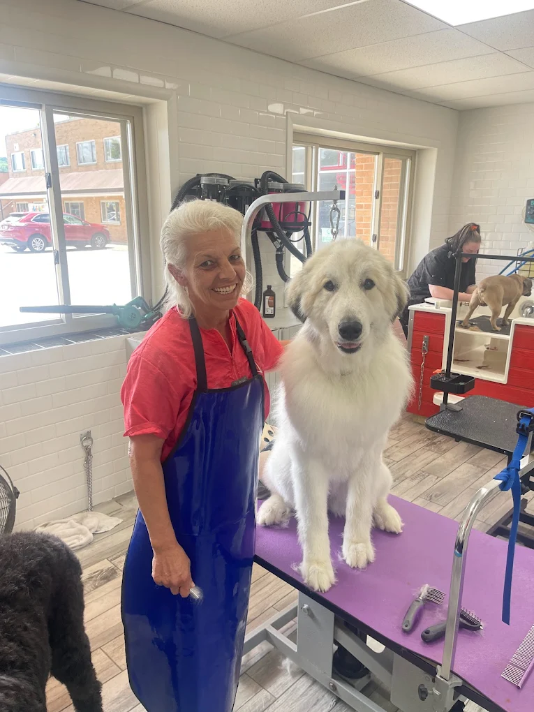 Wash Wag Dog Wash & Grooming